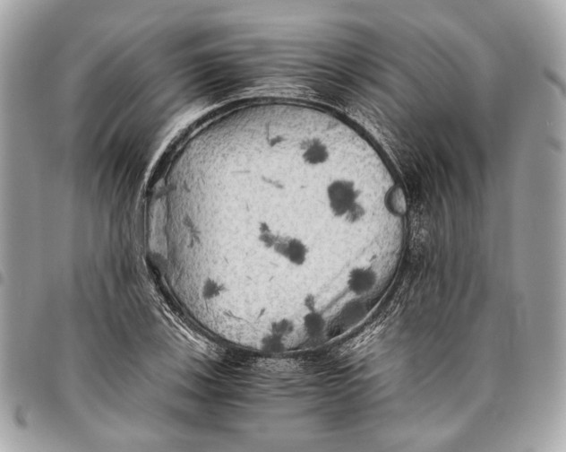 X0000096221123200802081519