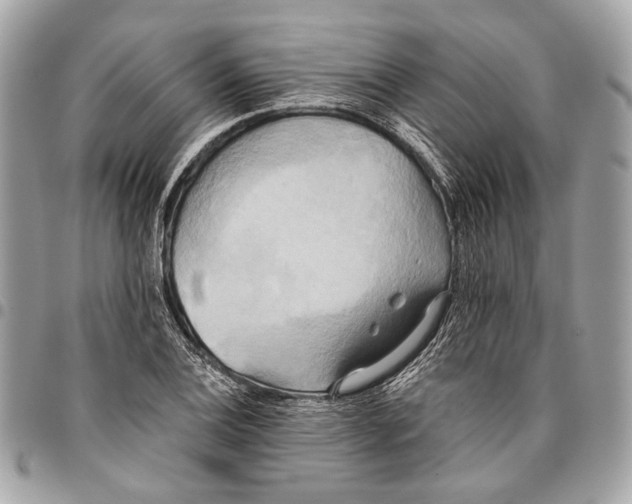 X0000096221124200802081519