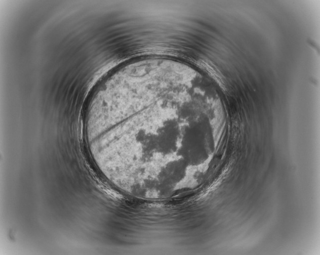 X0000096221125200802081519