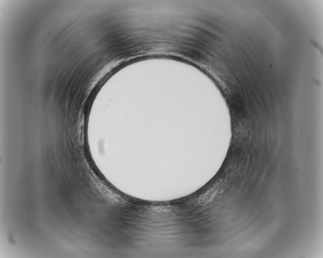 X0000096221126200802081519