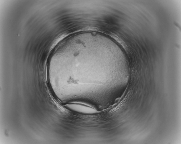 X0000096221127200802081519