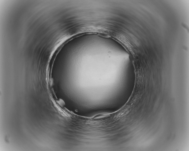 X0000096221128200802081519