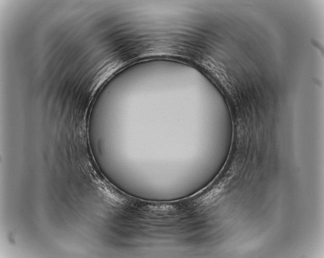 X0000096221129200802081519