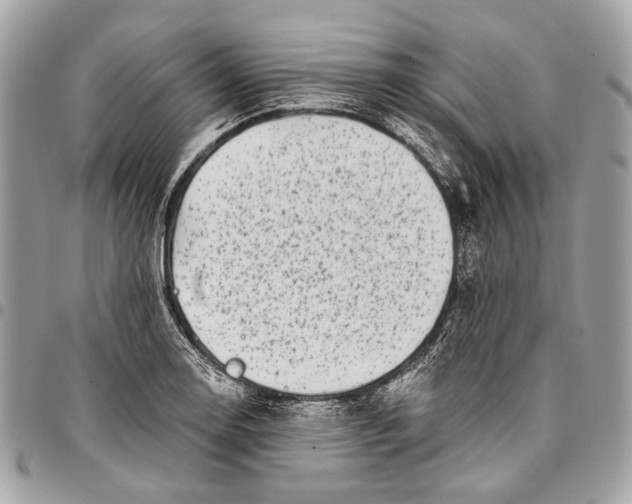 X0000096221130200802081519