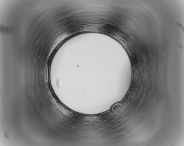 X0000096221131200802081519