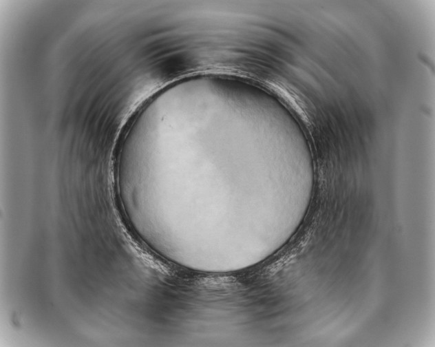 X0000096221133200802081519