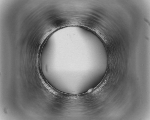 X0000096221134200802081519