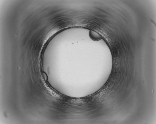 X0000096221135200802081519