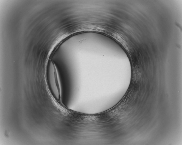 X0000096221136200802081519