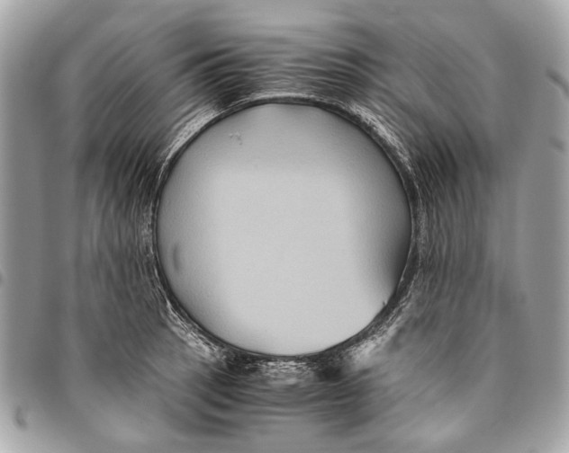 X0000096221137200802081519