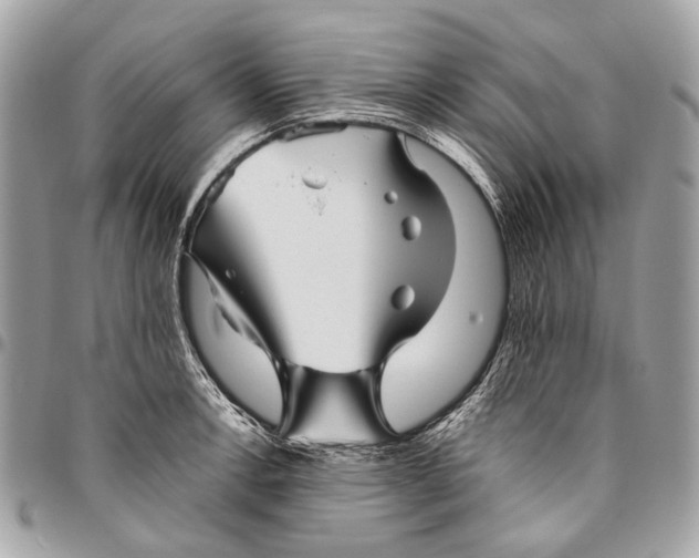 X0000096221138200802081519