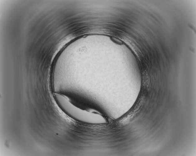 X0000096221139200802081519