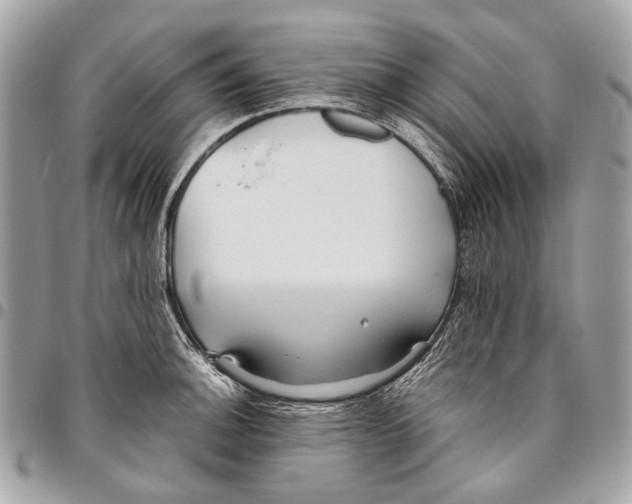 X0000096221140200802081519