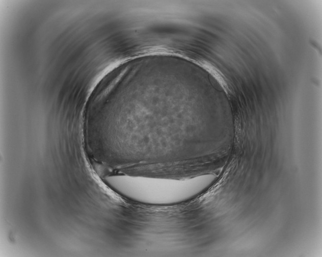 X0000096221142200802081519