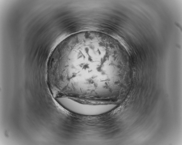 X0000096221143200802081519