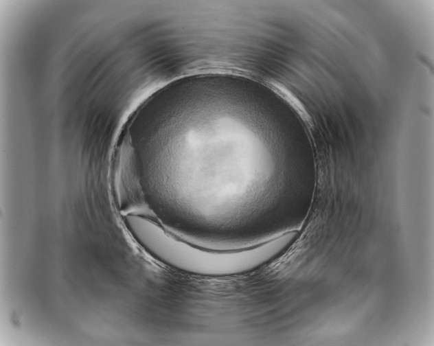 X0000096221144200802081519