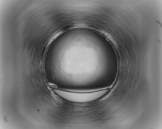 X0000096221145200802081520