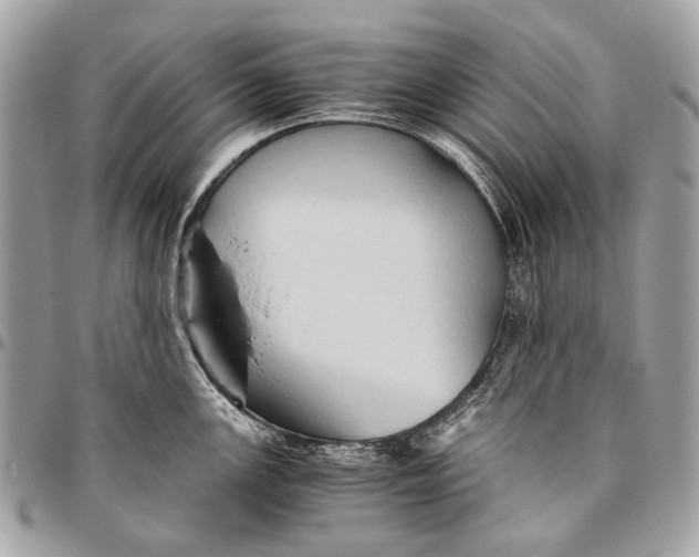 X0000096221147200802081520