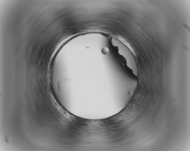 X0000096221148200802081520