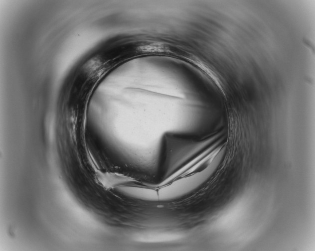 X0000096221151200802081520