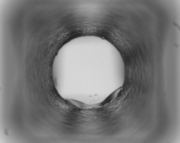 X0000096221153200802081519