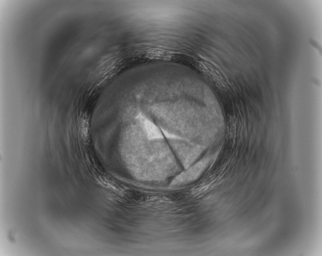 X0000096221154200802081519