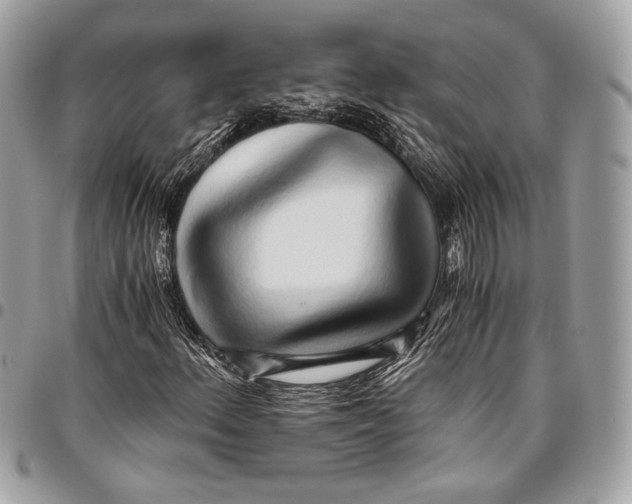 X0000096221156200802081519