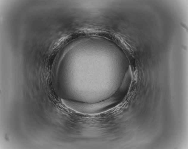 X0000096221157200802081519