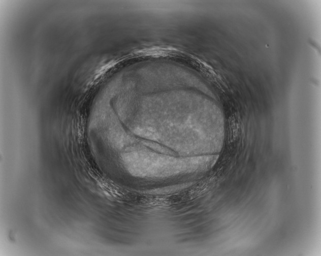 X0000096221158200802081519