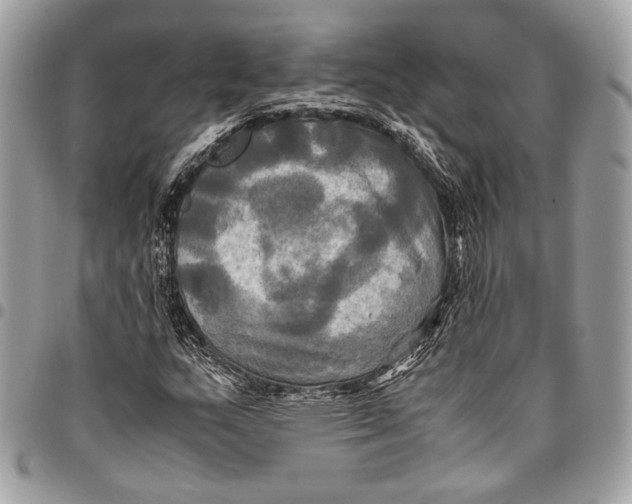 X0000096221159200802081519