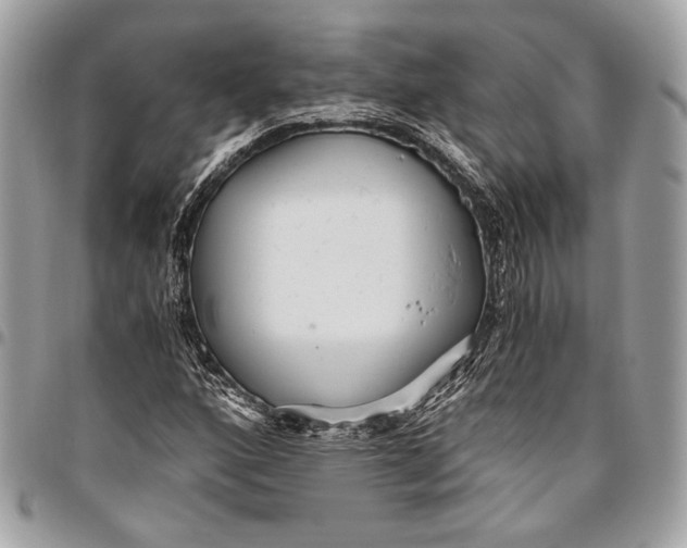 X0000096221160200802081519