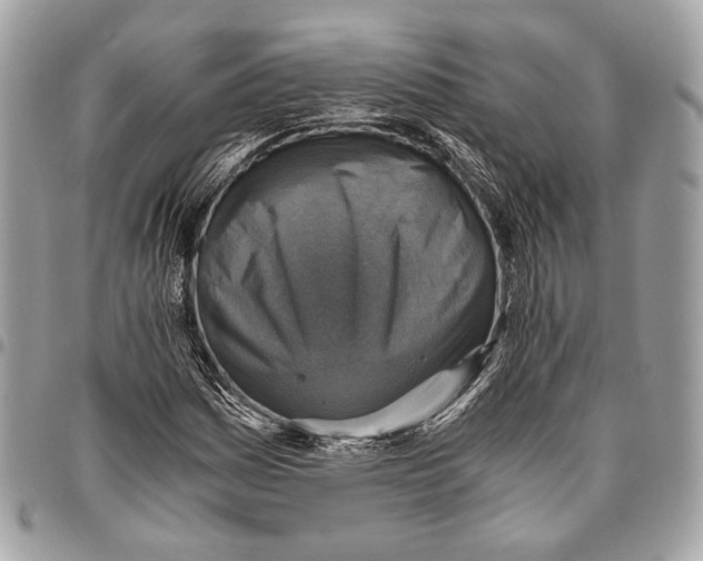 X0000096221161200802081519