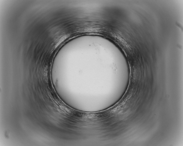 X0000096221162200802081519