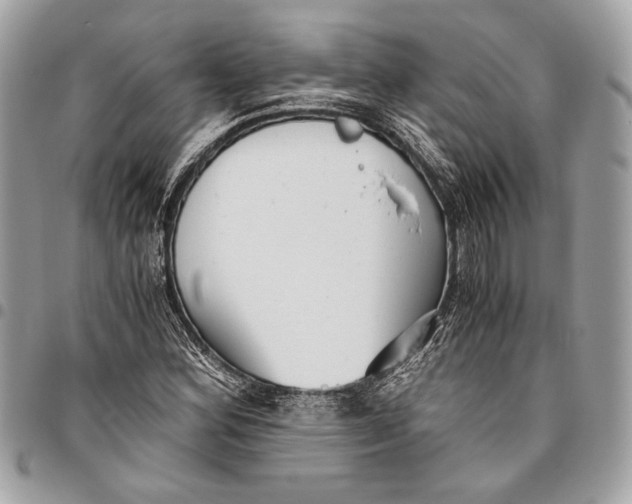 X0000096221164200802081519