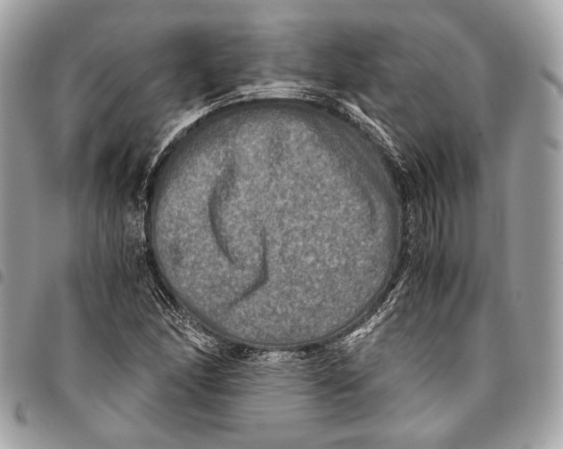 X0000096221166200802081519