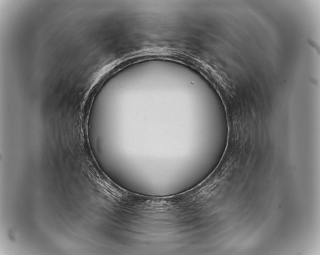 X0000096221168200802081519