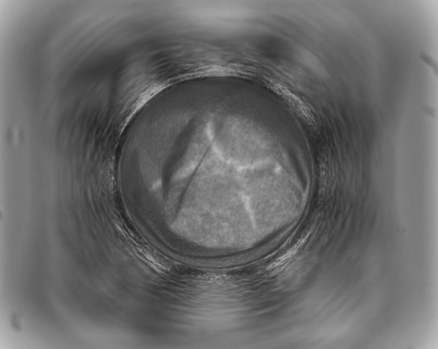 X0000096221170200802081519