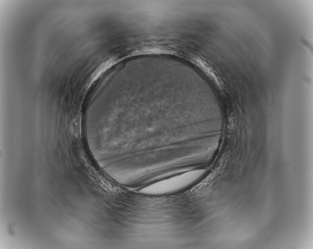 X0000096221173200802081519