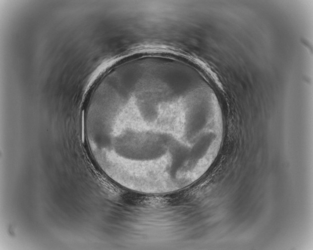 X0000096221175200802081518