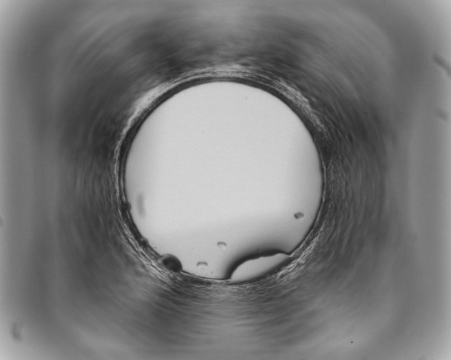 X0000096221176200802081518