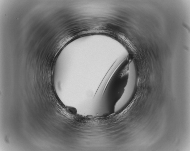 X0000096221177200802081518