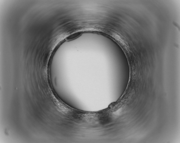 X0000096221181200802081518