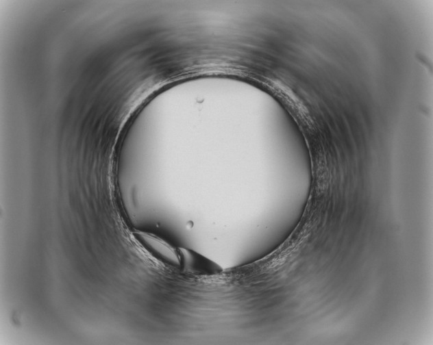 X0000096221182200802081518