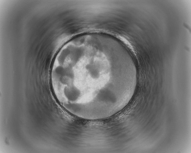 X0000096221183200802081518