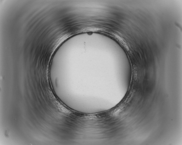 X0000096221186200802081518