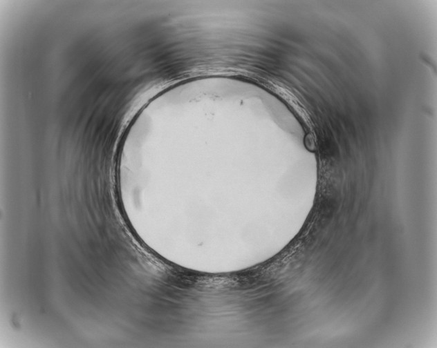 X0000096221187200802081518