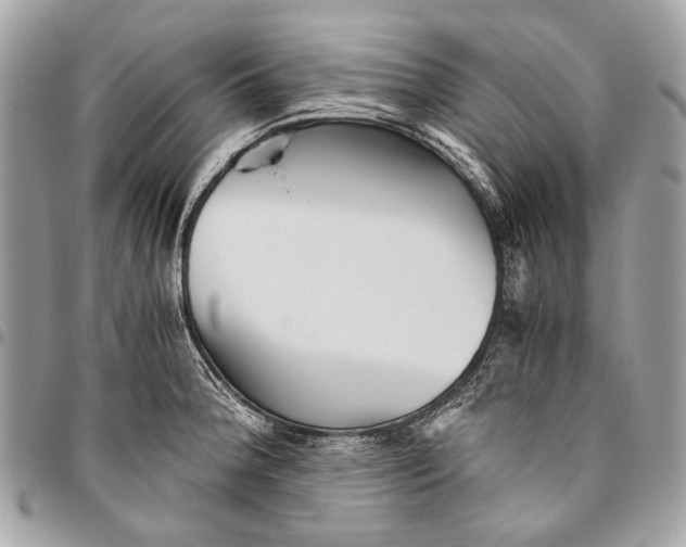 X0000096221188200802081518