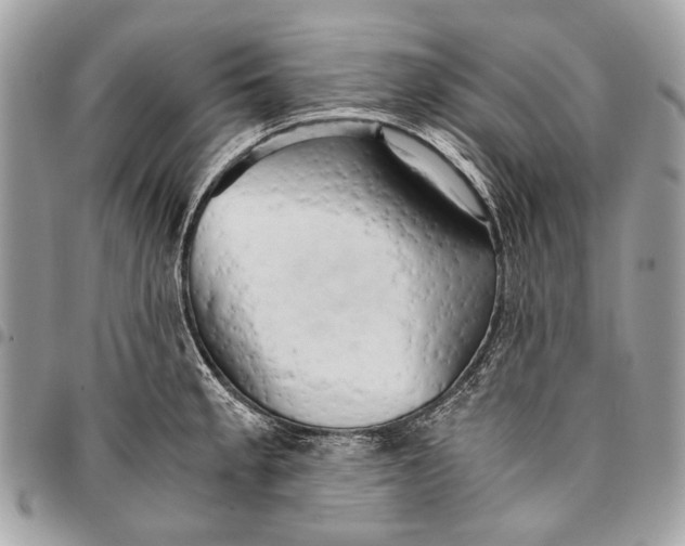 X0000096221189200802081518