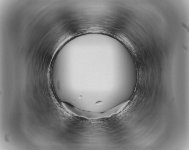 X0000096221190200802081518