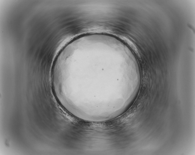 X0000096221191200802081518